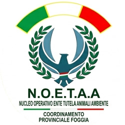 Logo NOETAA Foggia