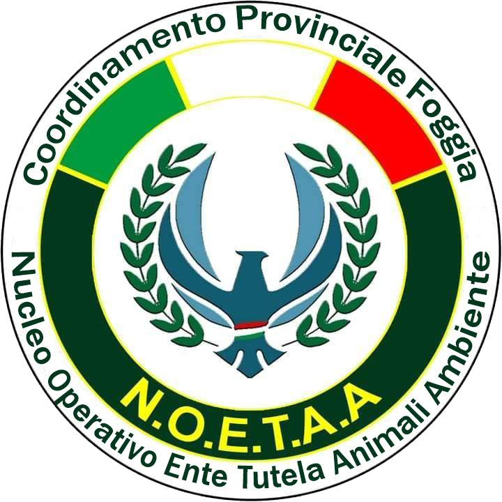 Logo Ufficiale N.O.E.T.A.A.